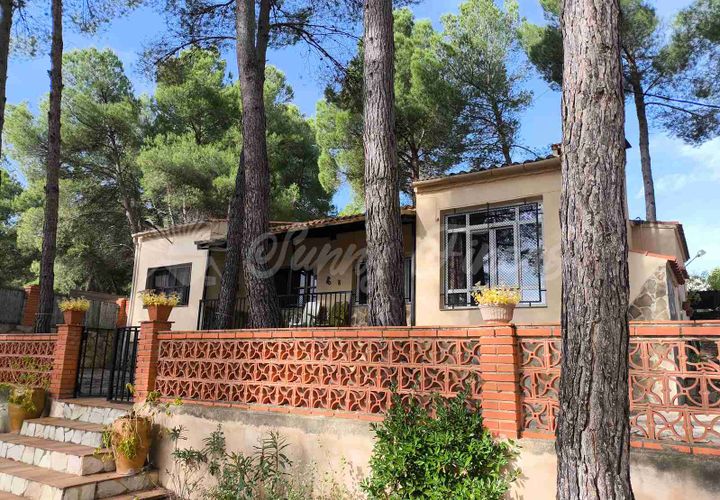 Landejendom i Almansa, Albacete, Almansa - € 235.000 | Ref: SF0548 - foto 1